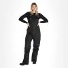 2117 Of Sweden, Bib Pant Backa Skihose Damen Schwarz -Icepeak Geschaft 2117 of sweden bib pant backa ba skibroek gevoerd dames zwart 222117x106v1 BI 01