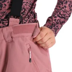 Dare2b, Effused II Skihose Damen Mesa Rosa -Icepeak Geschaft dare2b effused ii ba skibroek gevoerd dames mesa roze 22dare2167v7 BI 07