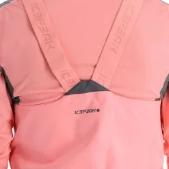 Icepeak, Comins Skihose Damen Rosa -Icepeak Geschaft icepeak comins ba skibroek gevoerd dames roze 22icepe225v1 BI 12