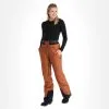 Picture, Exa Pt Skihose Damen Coconutz Braun -Icepeak Geschaft picture exa pt ba skibroek gevoerd dames coconutz bruin 22pictu119v2 BI 01